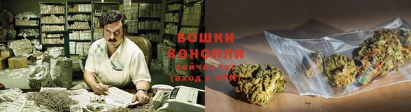 гидра Богданович