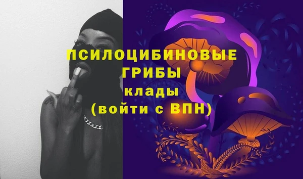 гашик Богородицк
