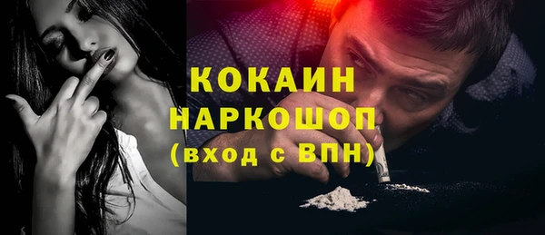 гидра Богданович
