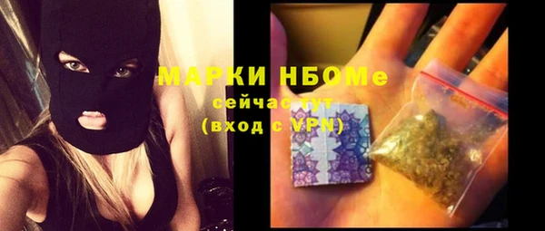 гидра Богданович