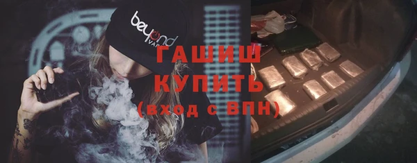 гидра Богданович