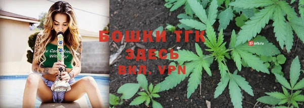 гидра Богданович