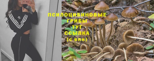 гашик Богородицк
