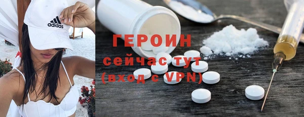 гидра Богданович